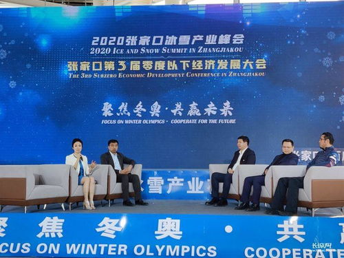 冷 资源助推 热 经济 2020张家口冰雪产业峰会暨第三届零度以下经济发展大会召开