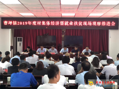 曹坪镇召开村集体经济暨就业扶贫现场观摩推进会