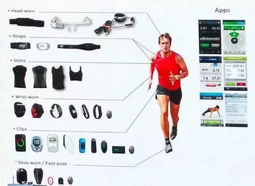 乱世出英雄:可穿戴产业谁定标准谁为王