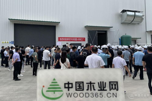 好板迎亚运，绿色工厂行——千年舟澳思柏恩邳州工厂品质之旅暨运动健康论坛