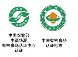 品茗与运动 那些你应该知道的茶叶质量标志