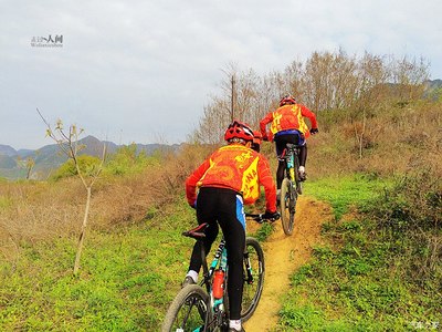 运动论坛 热爱与交流的体育天地